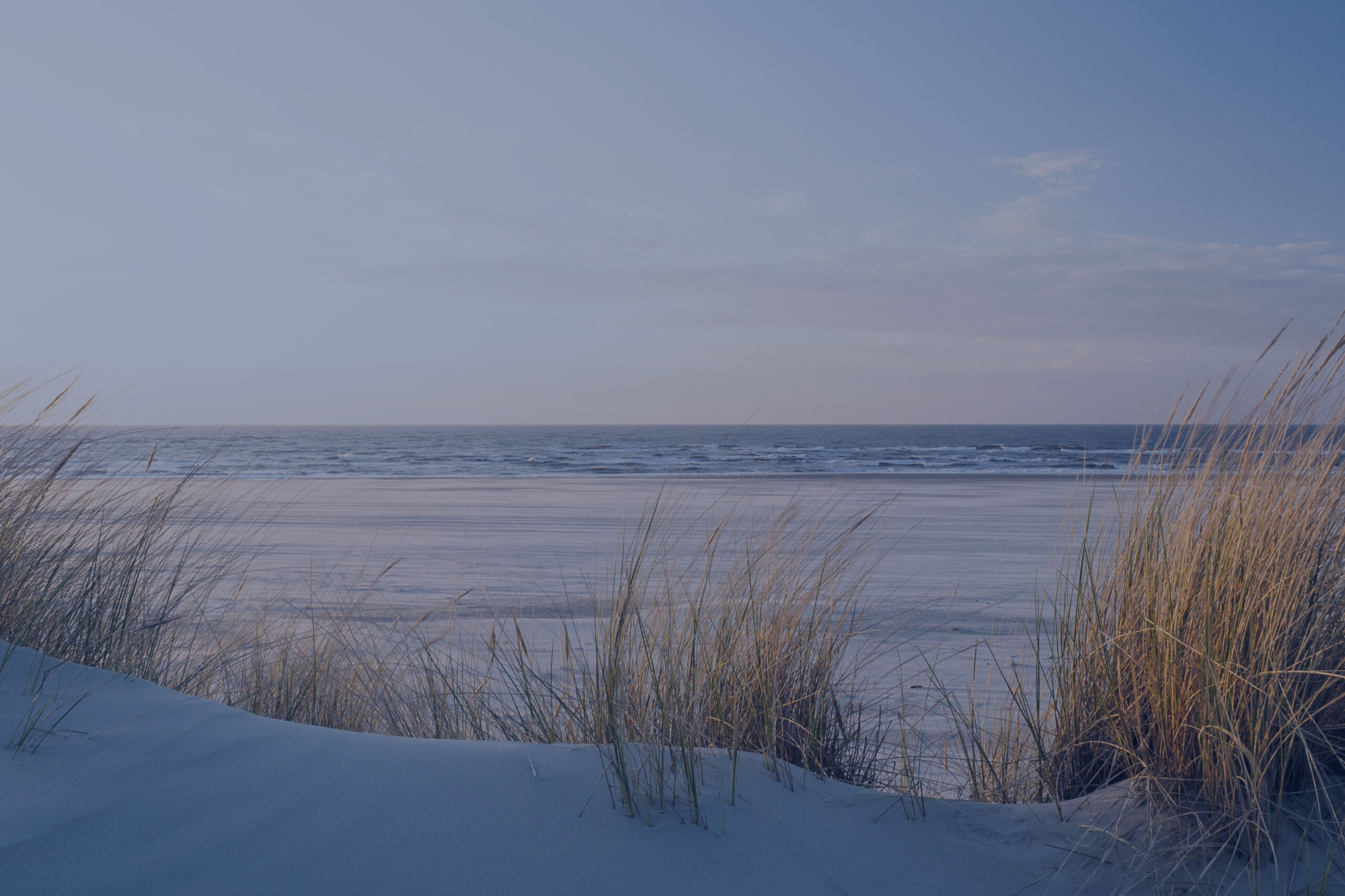 Startseite_Header_Allgemein-1-scaled.jpg